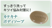 カテキナ ボディソープ
