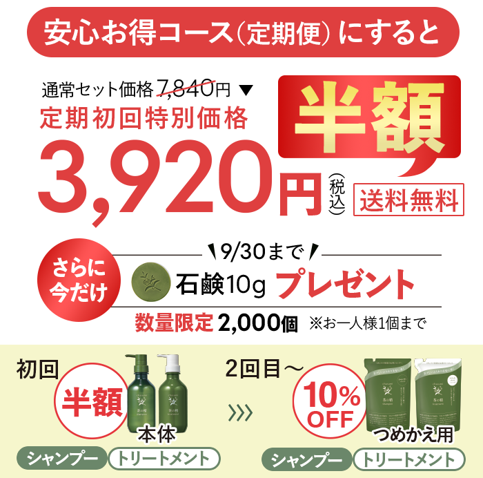 初回特別価格