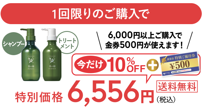 特別価格