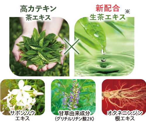 高カテキン茶エキス、新配合生茶エキス