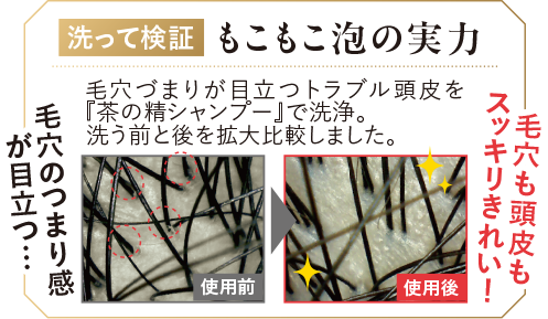 【洗って検証】もこもこ泡の実力