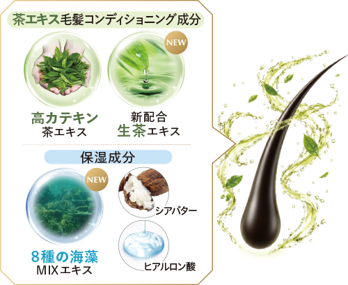 大地と海の恵み。贅沢なうるおいで根本から毛先までコーティング