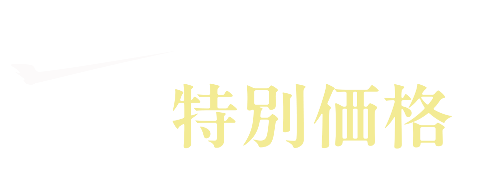 今なら新発売特別価格！