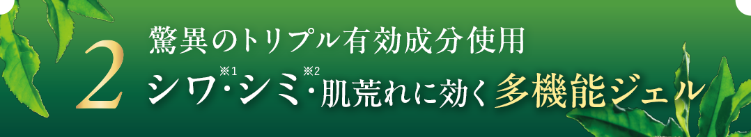 驚異のトリプル有効成分使用 シミを止め、シワを改善し肌荒れを防止 多機能ジェル