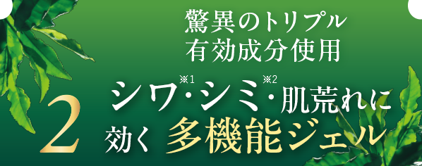 驚異のトリプル有効成分使用 シミを止め、シワを改善し肌荒れを防止 多機能ジェル