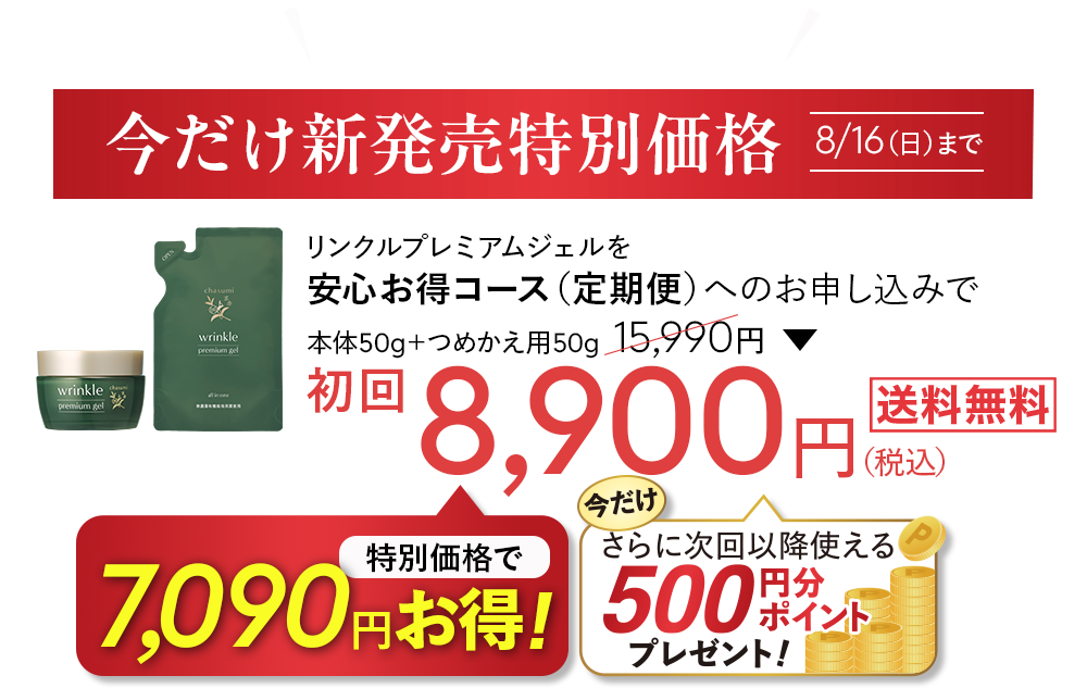 新発売特別価格