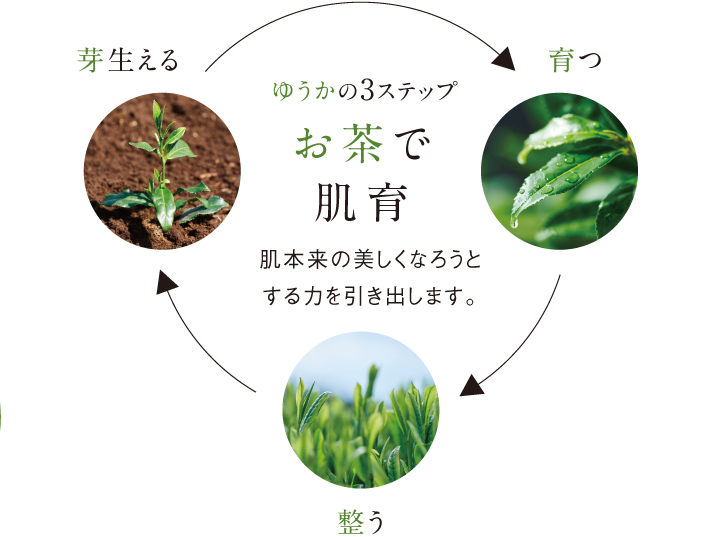 お茶で肌育