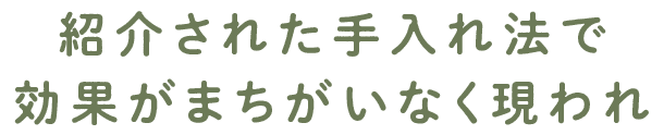 紹介された手入れ法で効果が間違いなく現われ