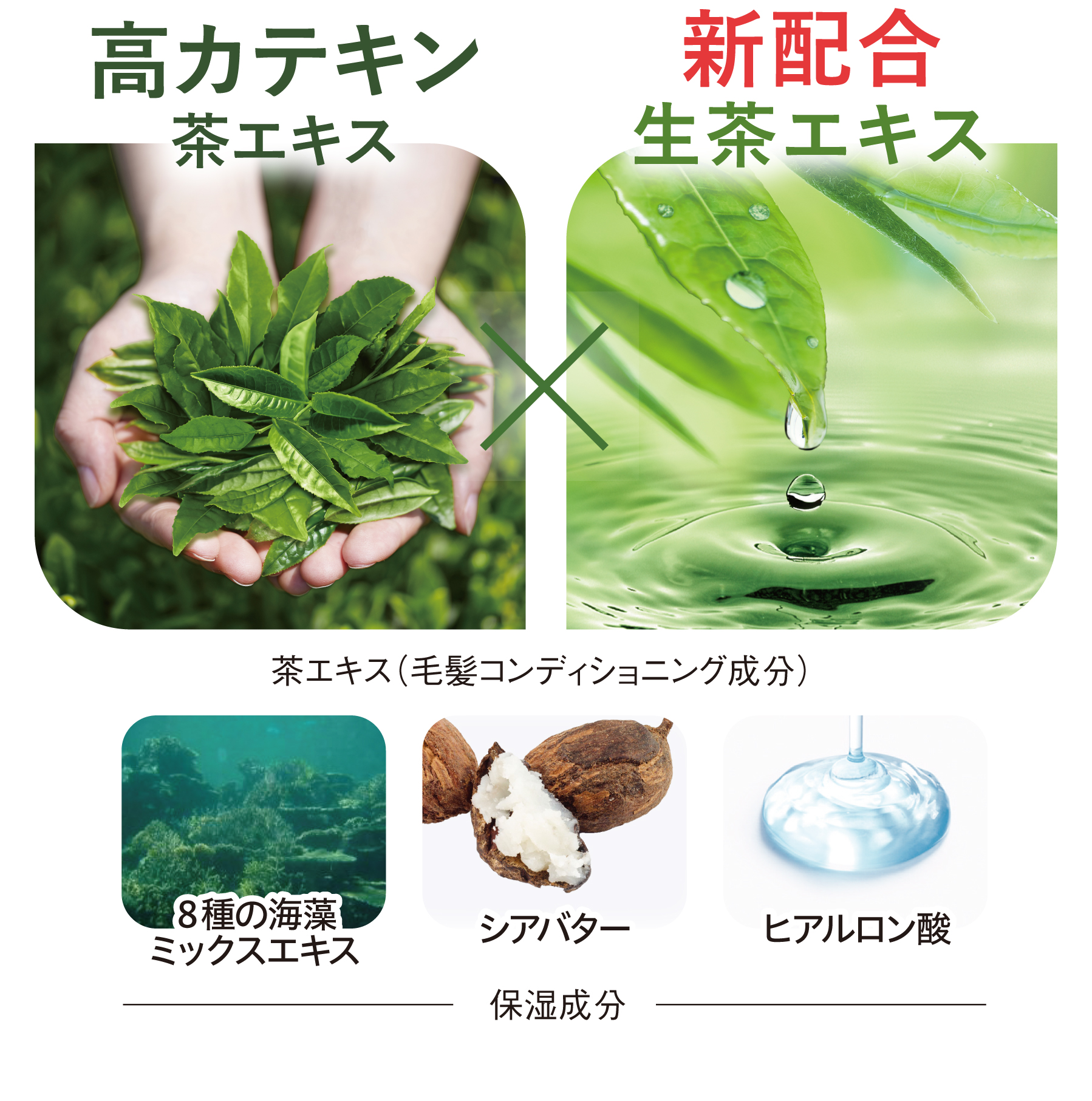 茶澄 茶の精トリートメント