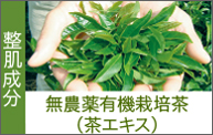 無農薬有機栽培茶(茶エキス) 整肌成分