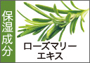 ローズマリーエキス 整肌成分