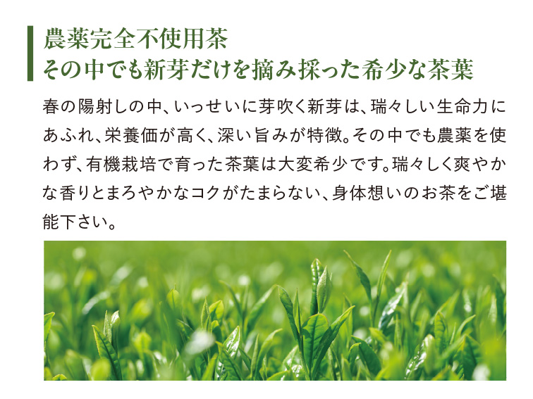 天土茶-てんとちゃ-〈一番茶〉 ゆうか【公式】オンラインストア｜茶澄