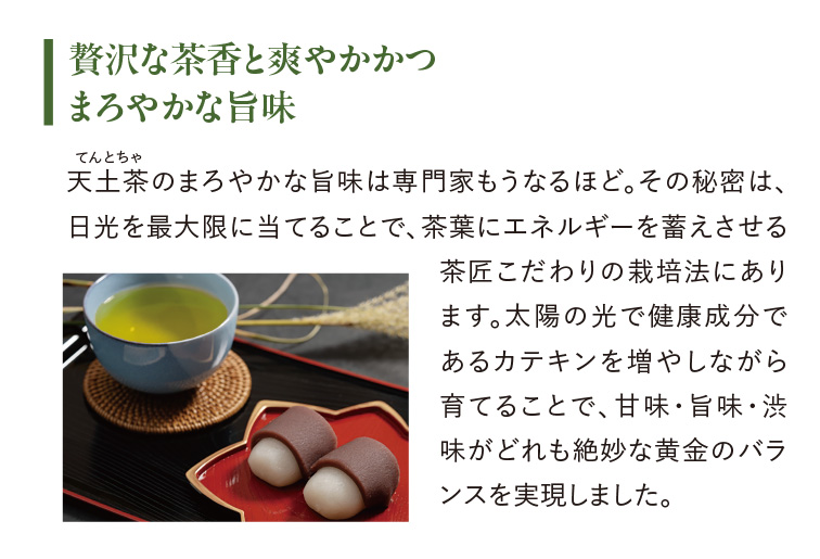 天土茶-てんとちゃ-〈一番茶〉 ゆうか【公式】オンラインストア｜茶澄
