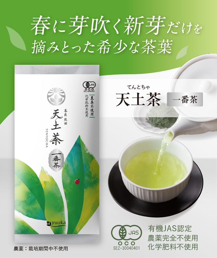 春に芽吹く新芽だけを摘み取った希少な茶葉