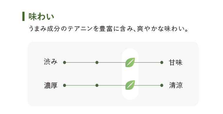 うまみ成分のテアニンを豊富に含み、爽やかな味わい