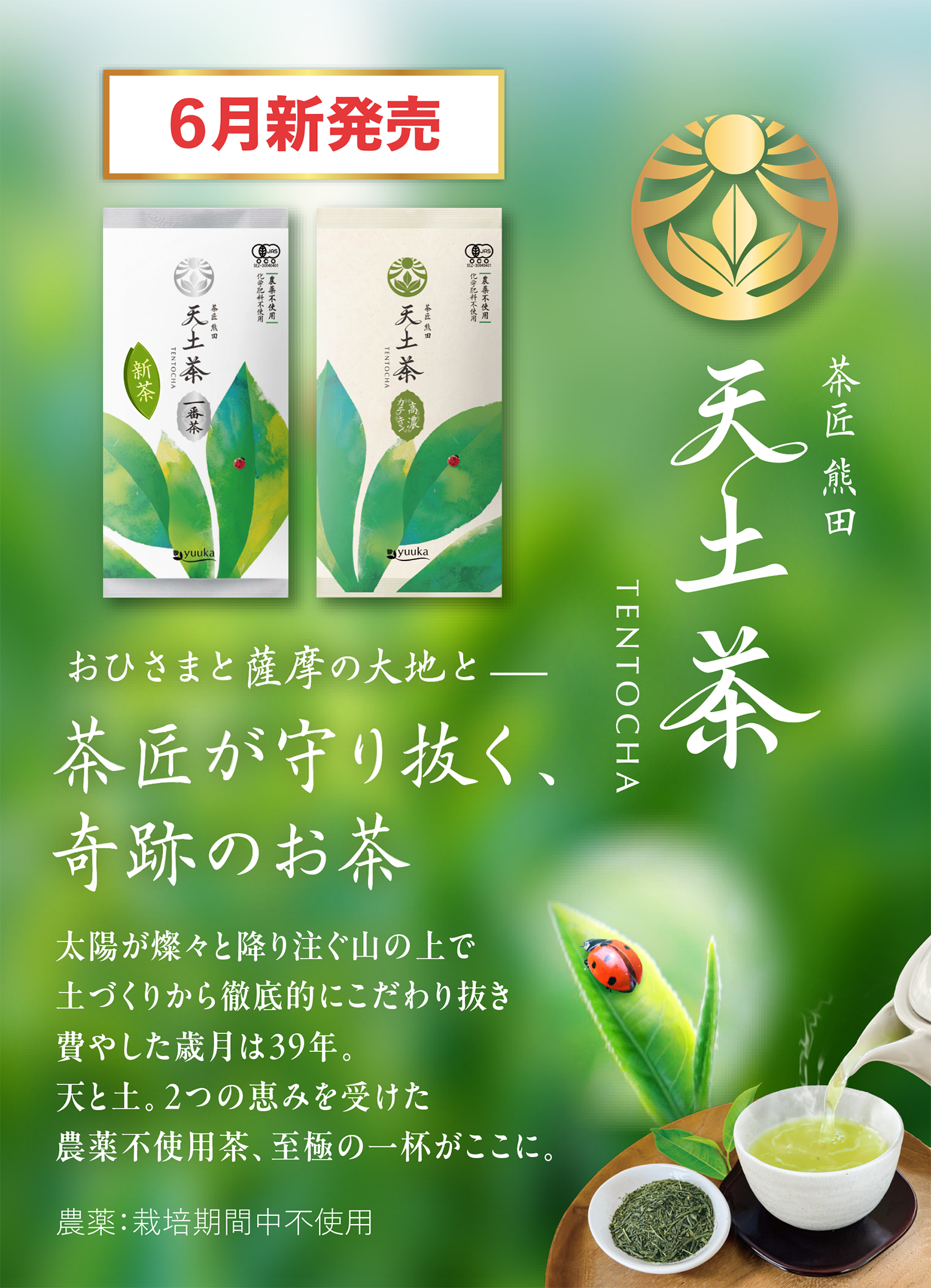 トップ画像