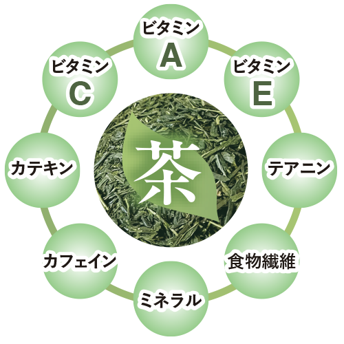 コンテンツ画像1