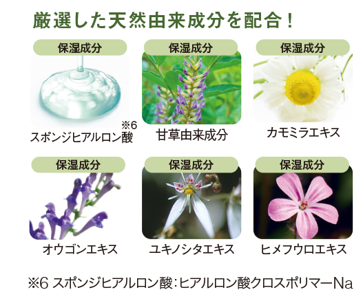 H01004-sub2.jpg?t=20210713105012