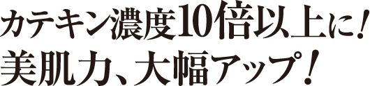 カテキン濃度10倍以上に！美肌力、大幅アップ！ 