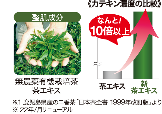 カテキン濃度の比較 