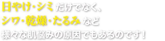 シミ対策集中 日やけ止め 株式会社悠香｜ゆうかストア
