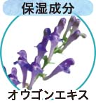 オウゴンエキス（整肌成分）