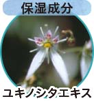 ユキノシタエキス（整肌成分）