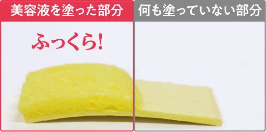 美容液を塗った圧縮スポンジ