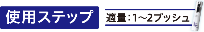 使用ステップ（適量1～2プッシュ）