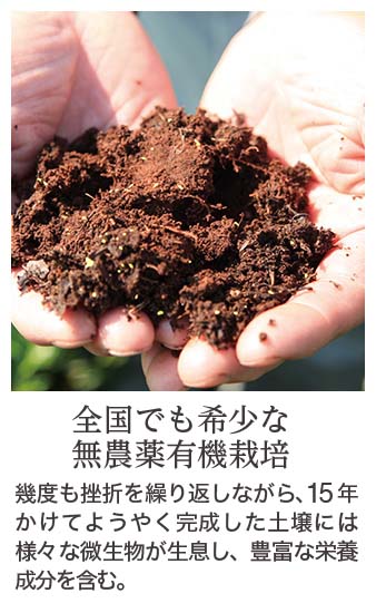 悠香の石鹸 株式会社悠香｜ゆうかストア