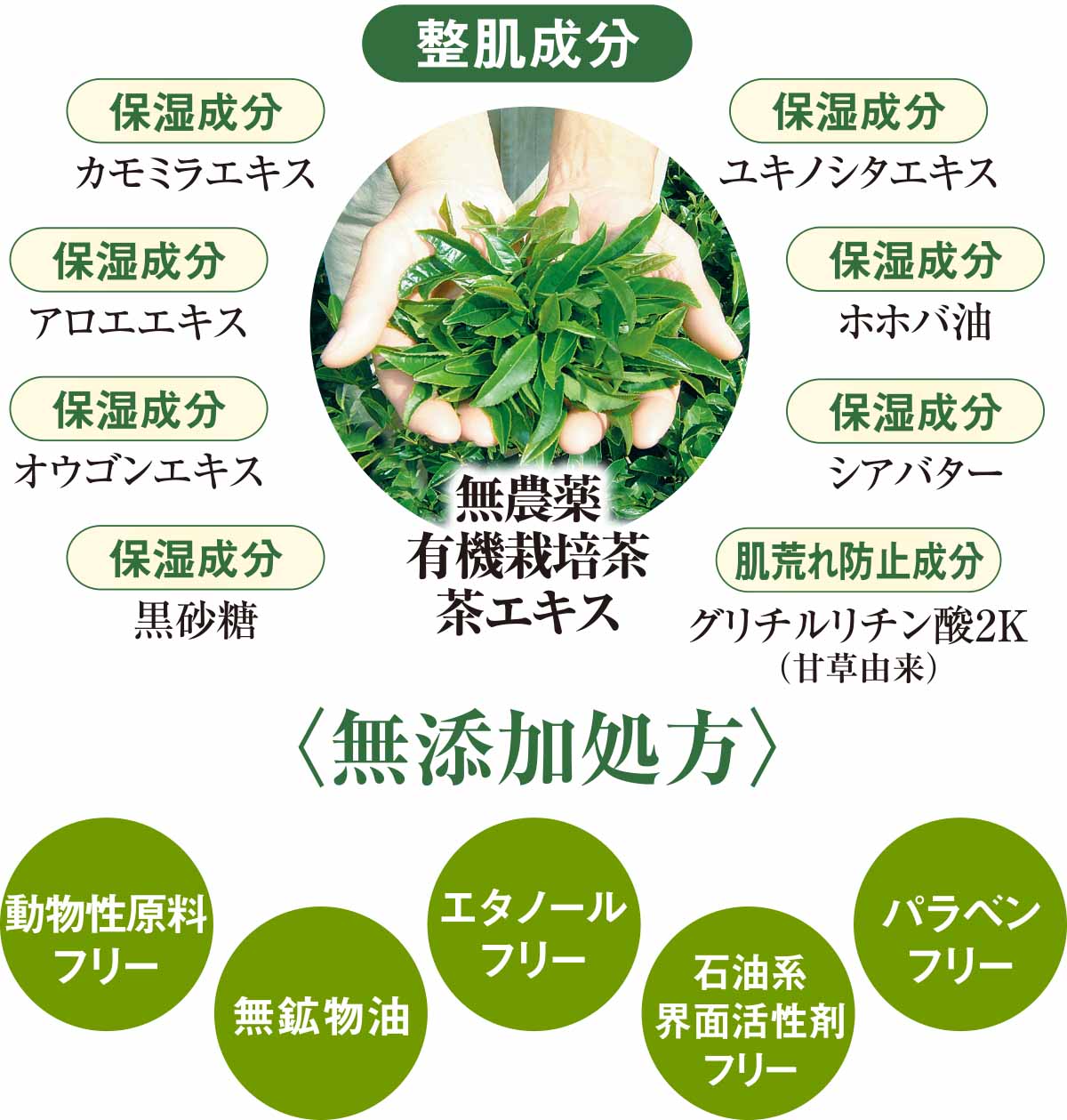 整肌成分
無農薬有機栽培茶茶エキス
〈無添加処方〉
動物性原料フリー
無鉱物油
エタノールフリー
石油系界面活性剤フリー
パラベンフリー