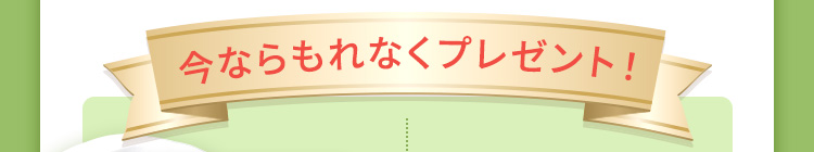 今ならもれなくプレゼント！