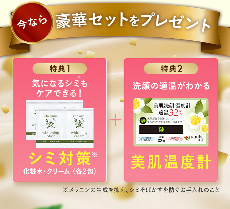 半額 お得に試してみる 泡立てネット付き