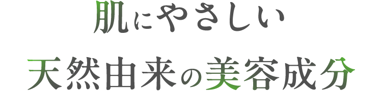 肌にやさしい天然由来の美容成分